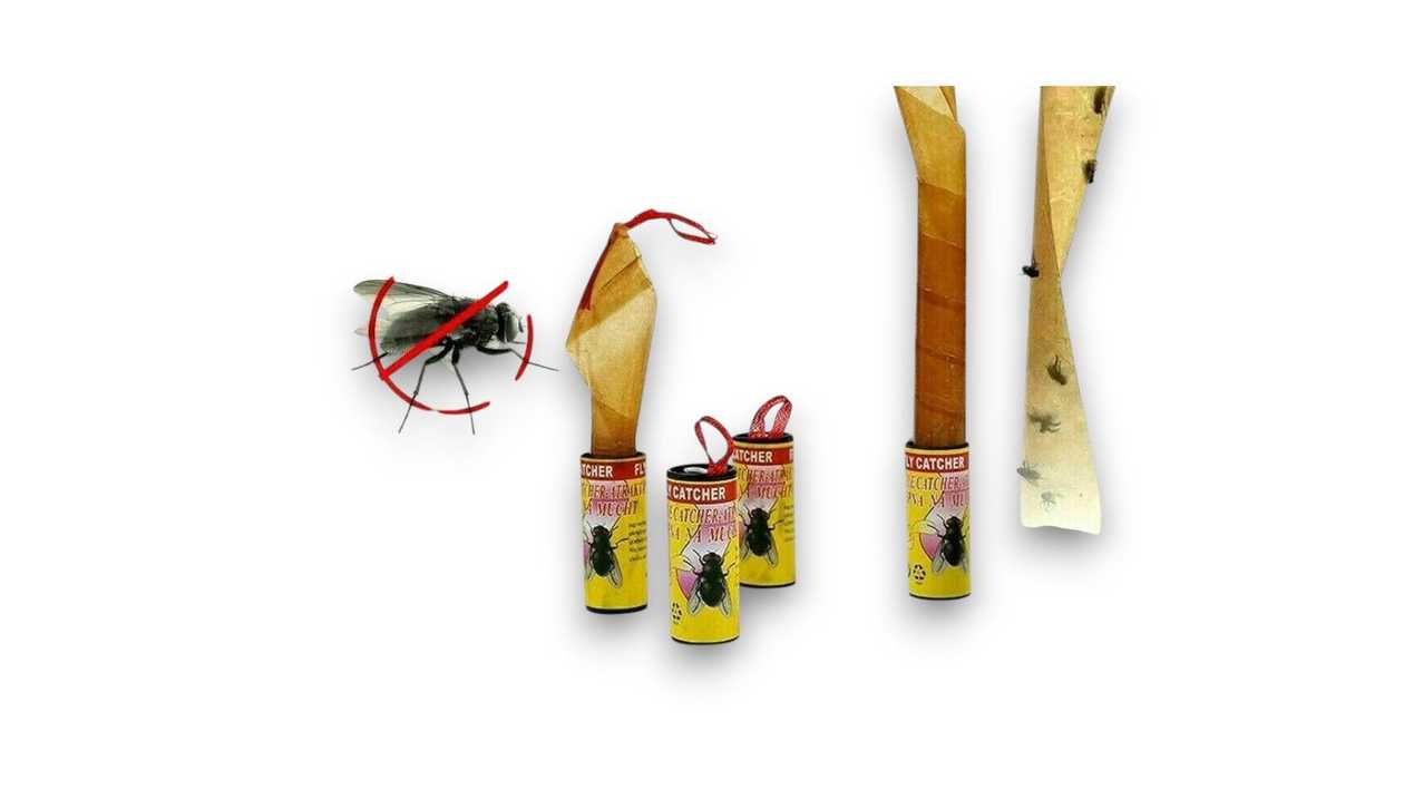 Fly Sticky Tape, 4 Pieces
