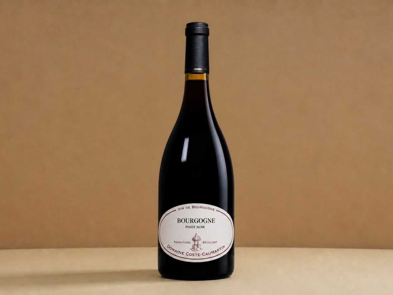 Pinot Noir, Bourgogne, Coste Caumartin