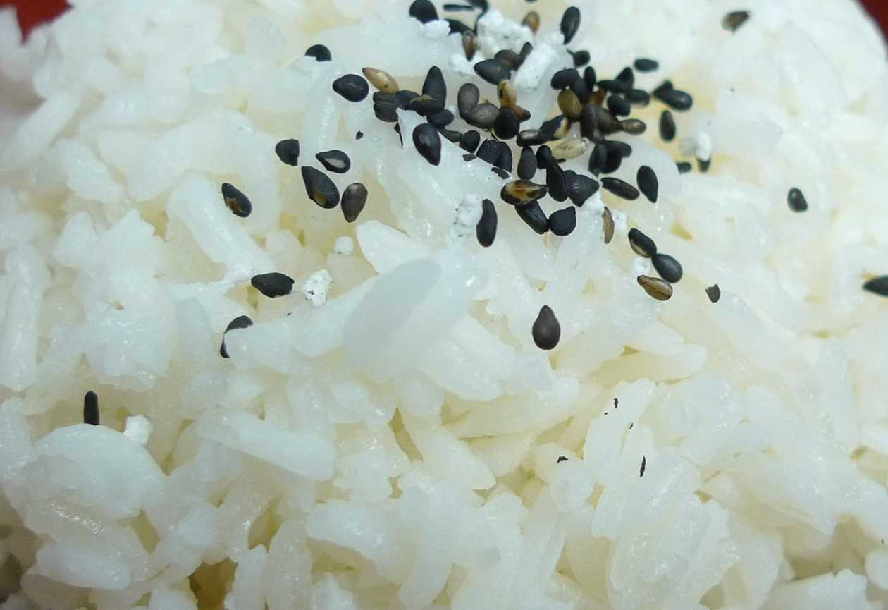 Rice