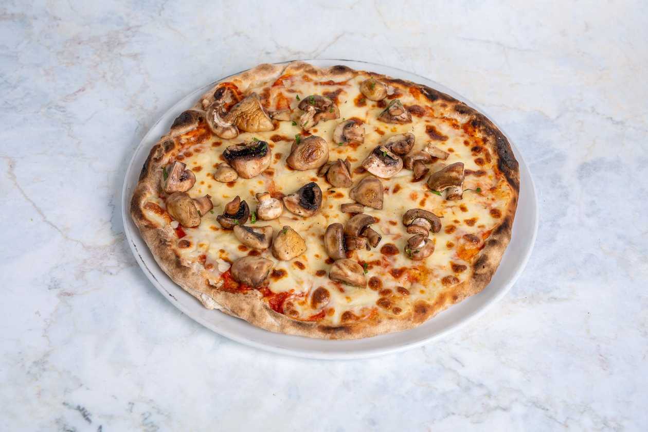 Funghi