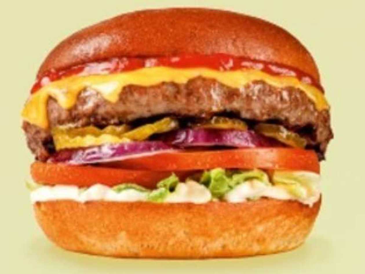Burger cheese 520g