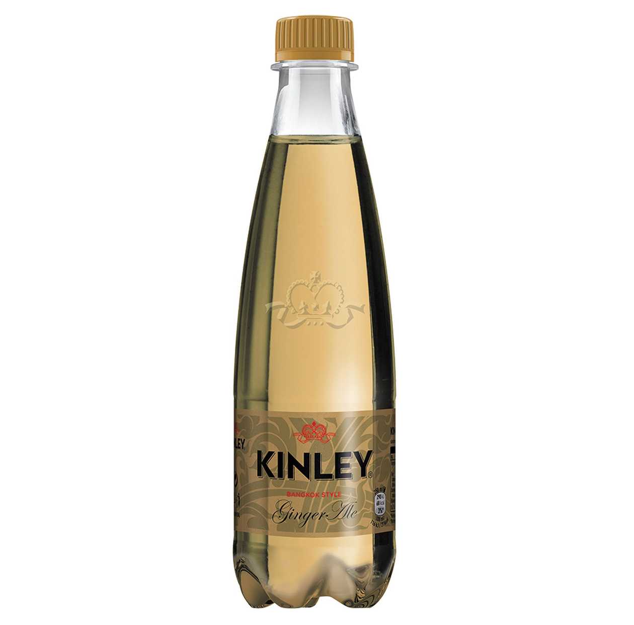 Zázvorový (ginger) tonic