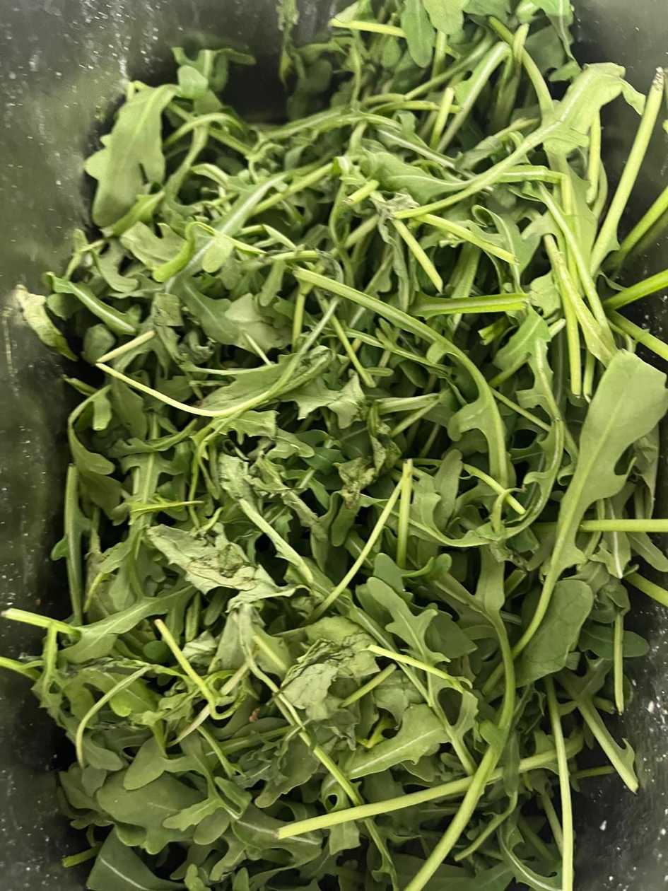 Extra zelenina - rukola-rucola