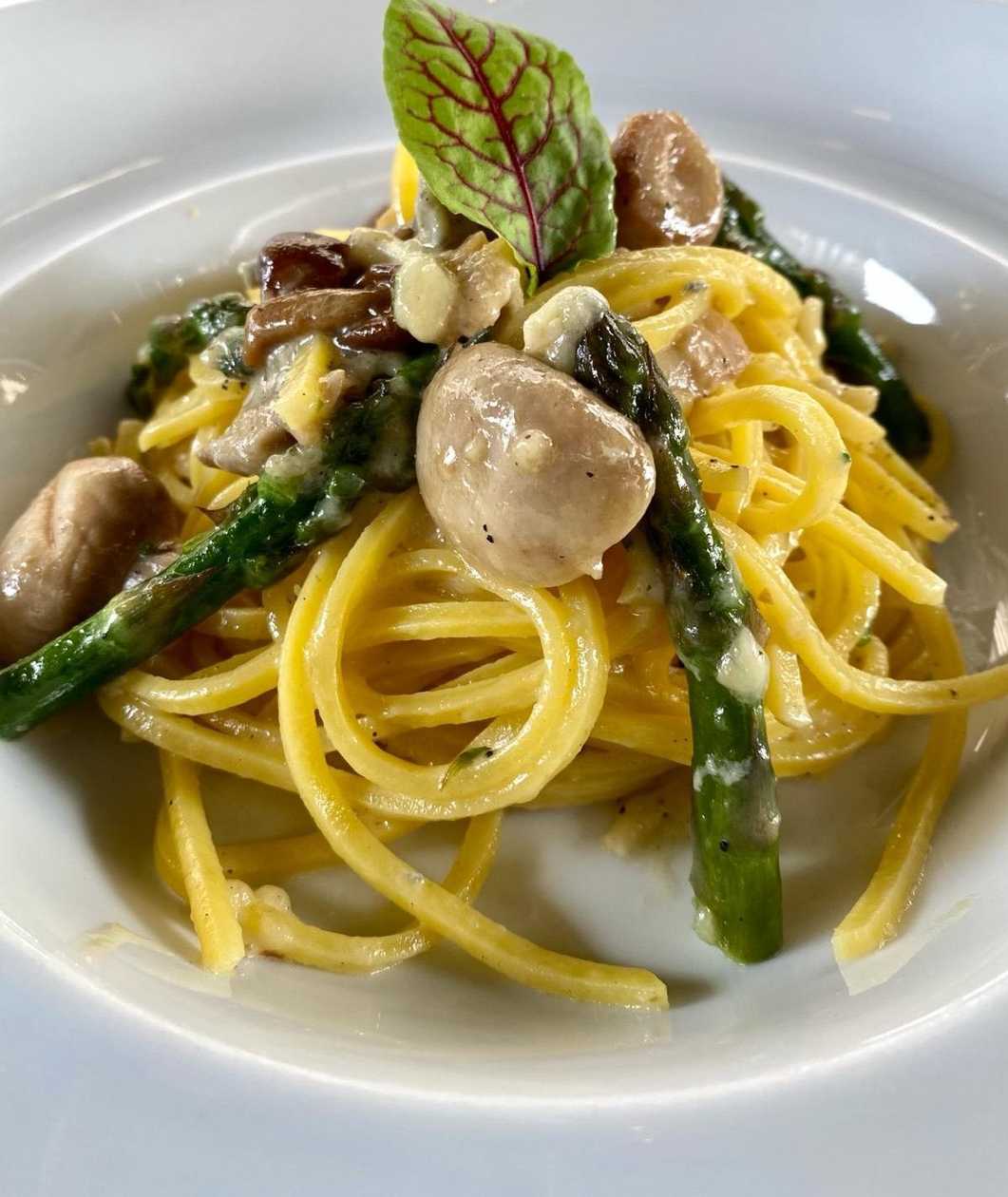 Penne Les Bourgeois