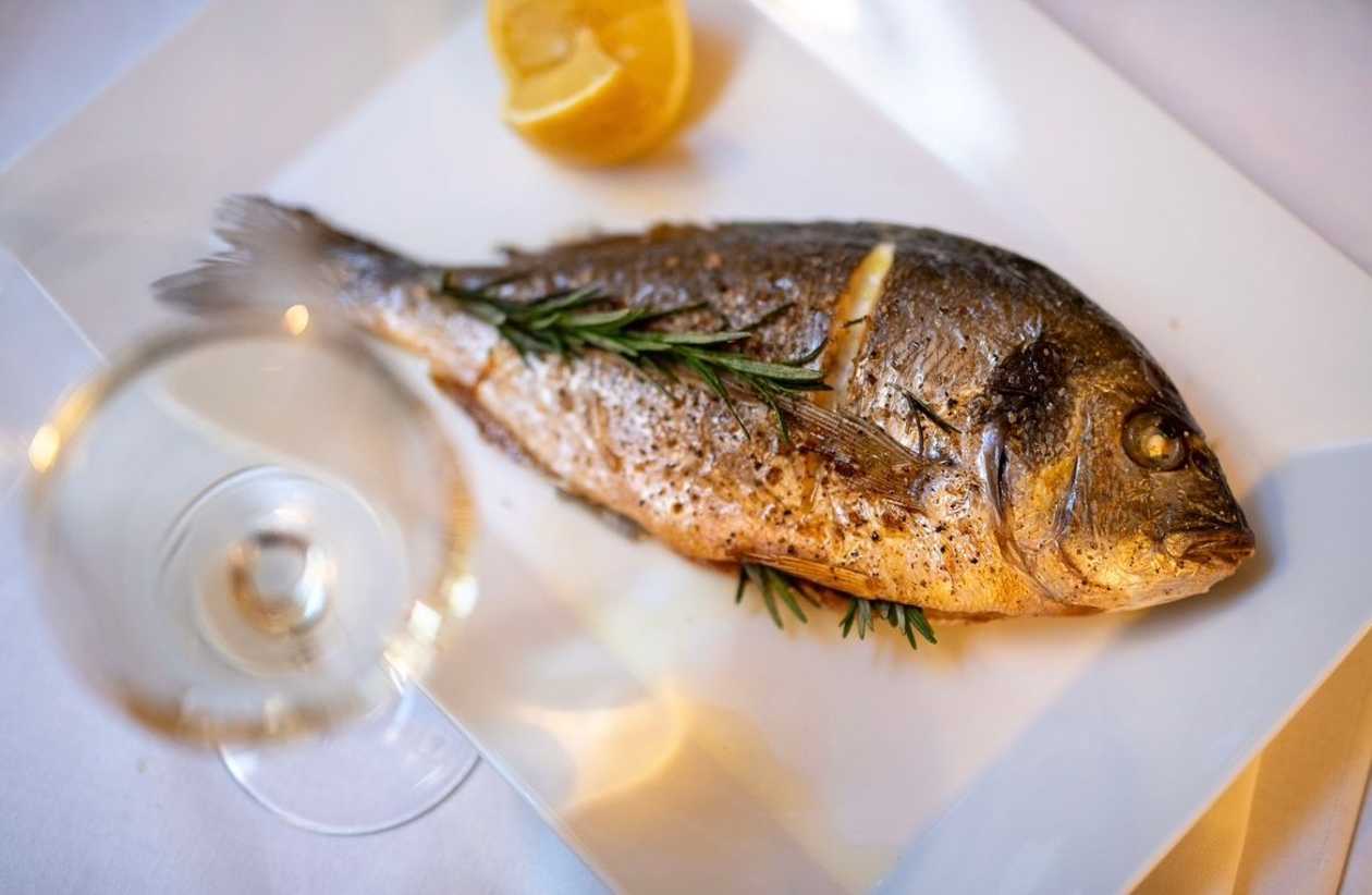 Fish of the Day