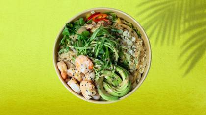 Shrimps Aloha Noodle Salad Regular