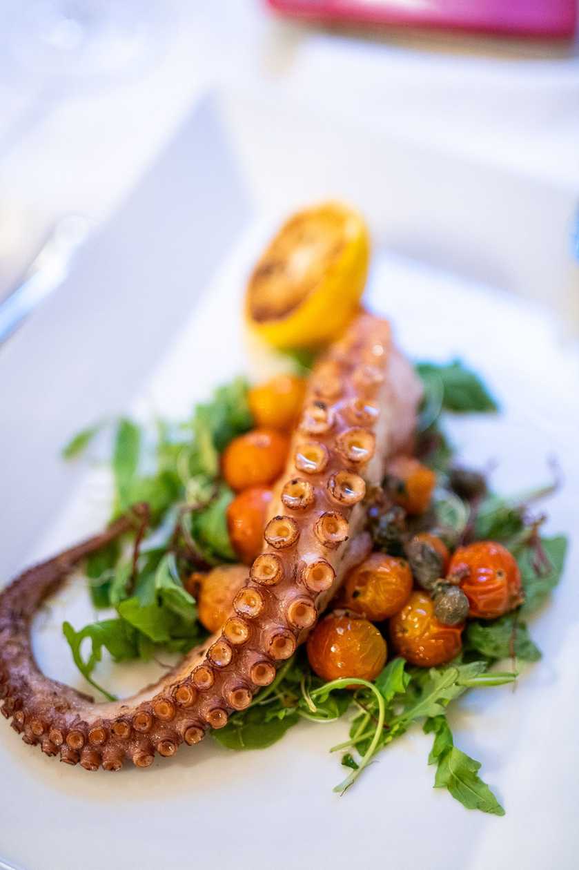 Grilled Octopus on Arugula Salad with Cherry Tomatoes