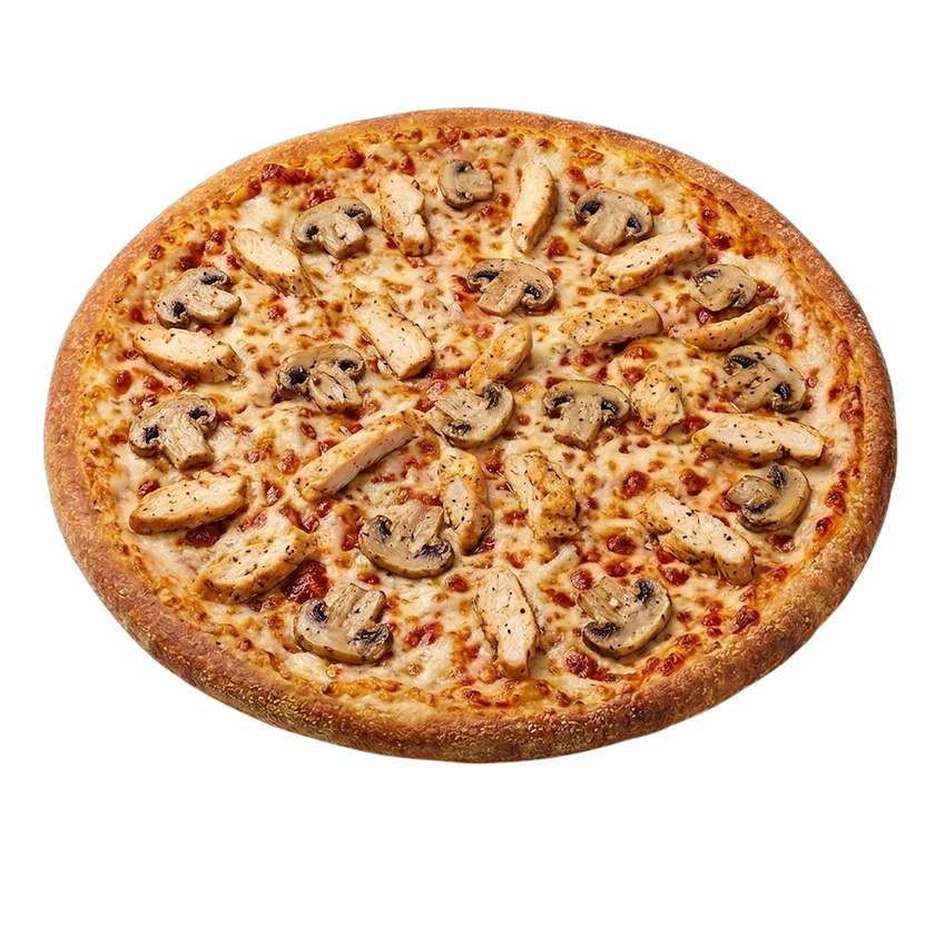 Chicken 'n Mushroom - XL