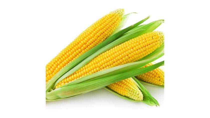 Sweet Corn per Piece