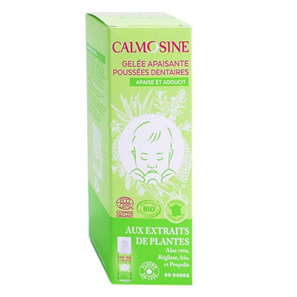 Calmoseptine Gum Gel 15ml #1