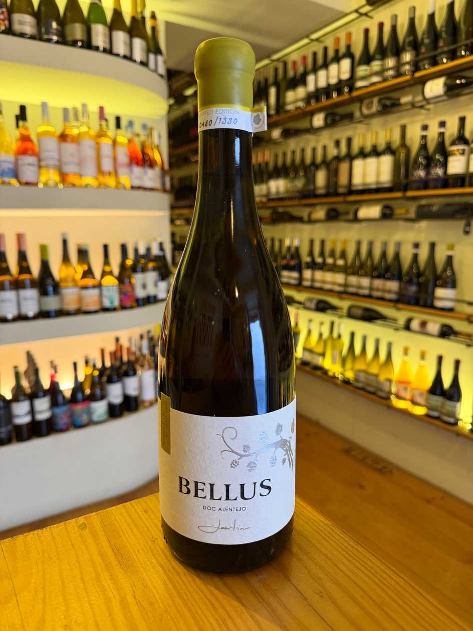 Bellus branco de curtimenta 2024