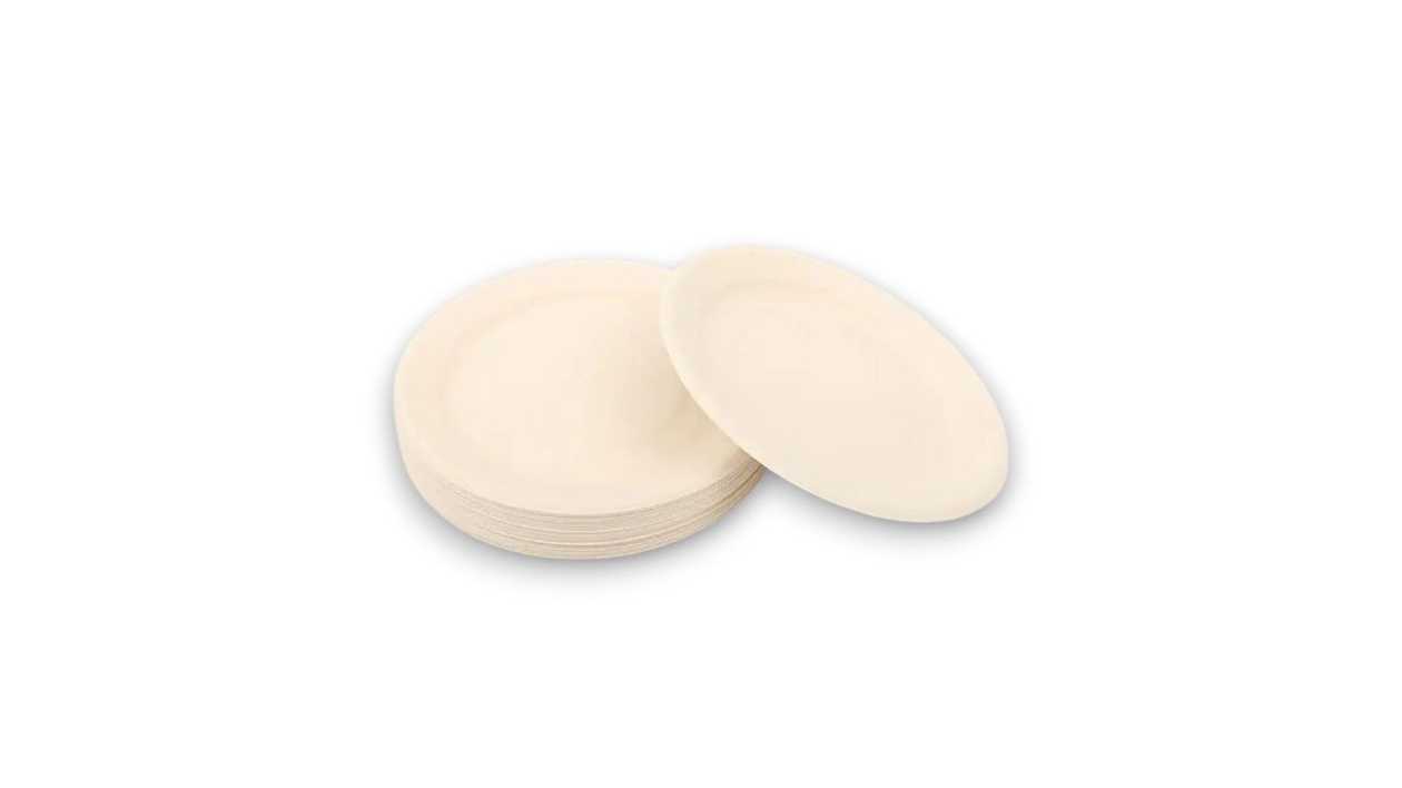 Disposable Plates, 10 Pieces, 1111111111576