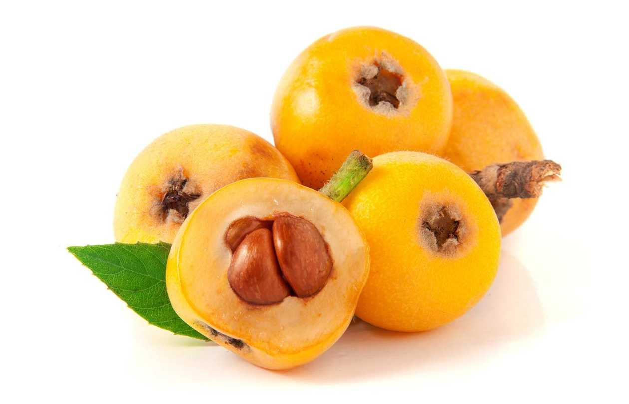 medlar 0.5-0.6kg