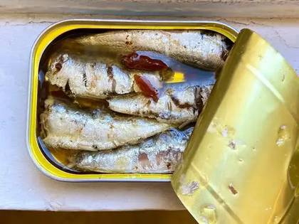 Sardine can