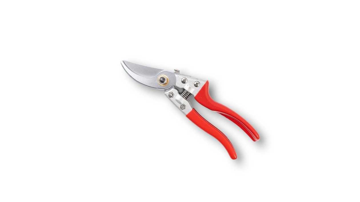 Pruning Shears for Tree Branches