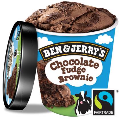 Ben&Jerry's Chocolate Fudge Brownie
