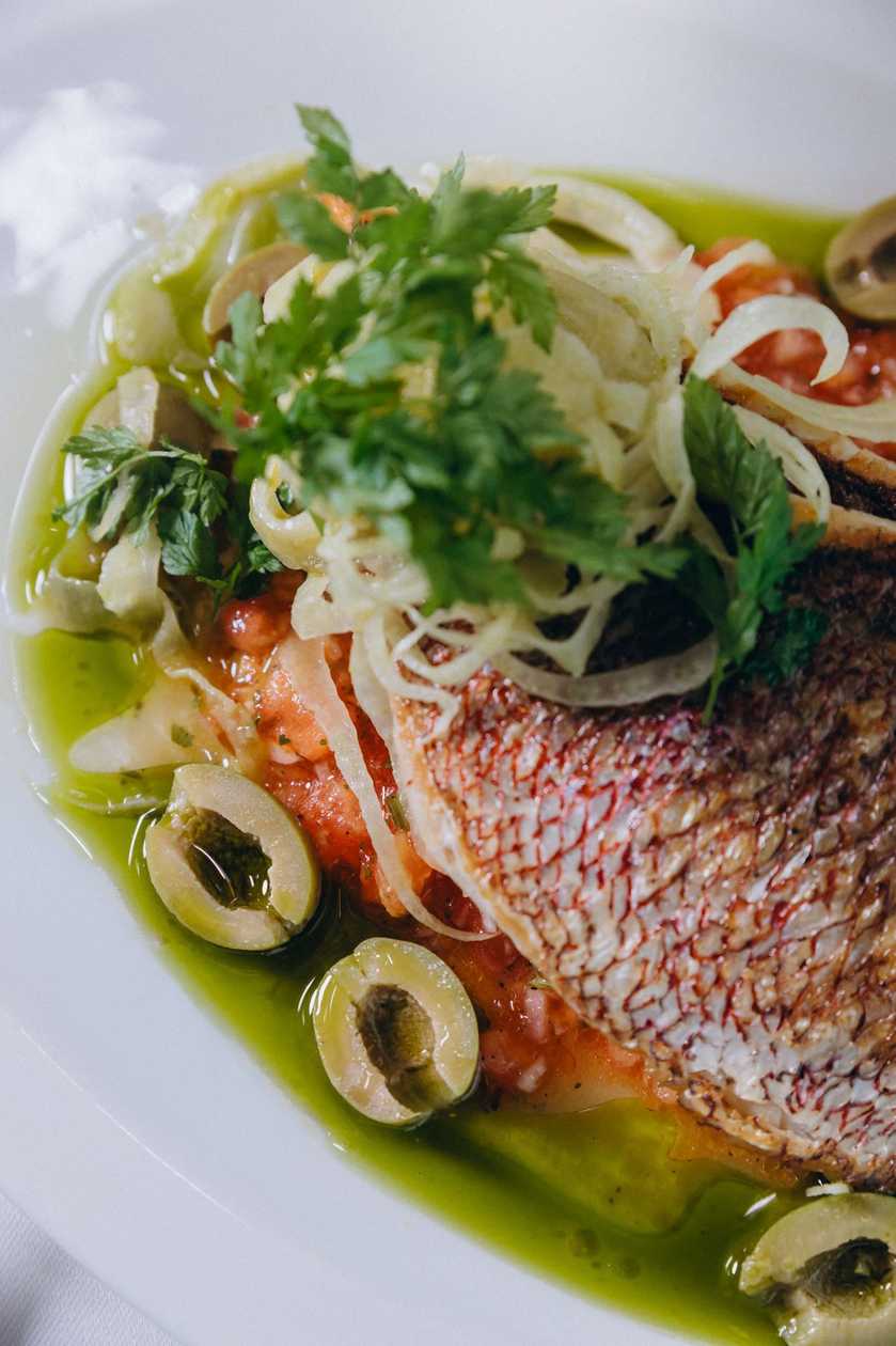 Grilled royal dorada fillet