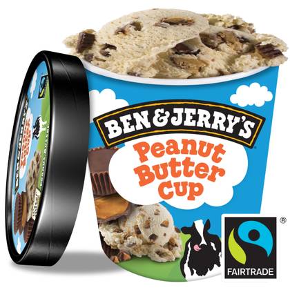Ben&Jerry's Peanut Butter Cup