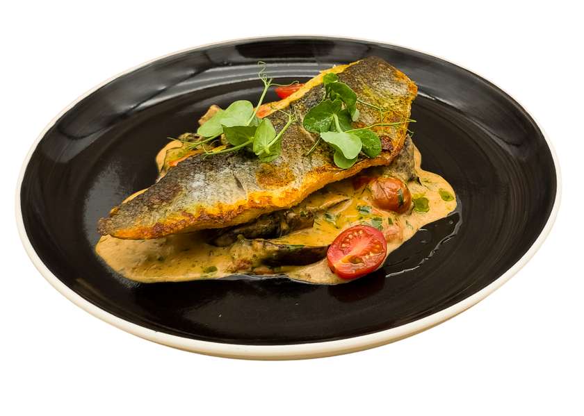 Seabass Fillet