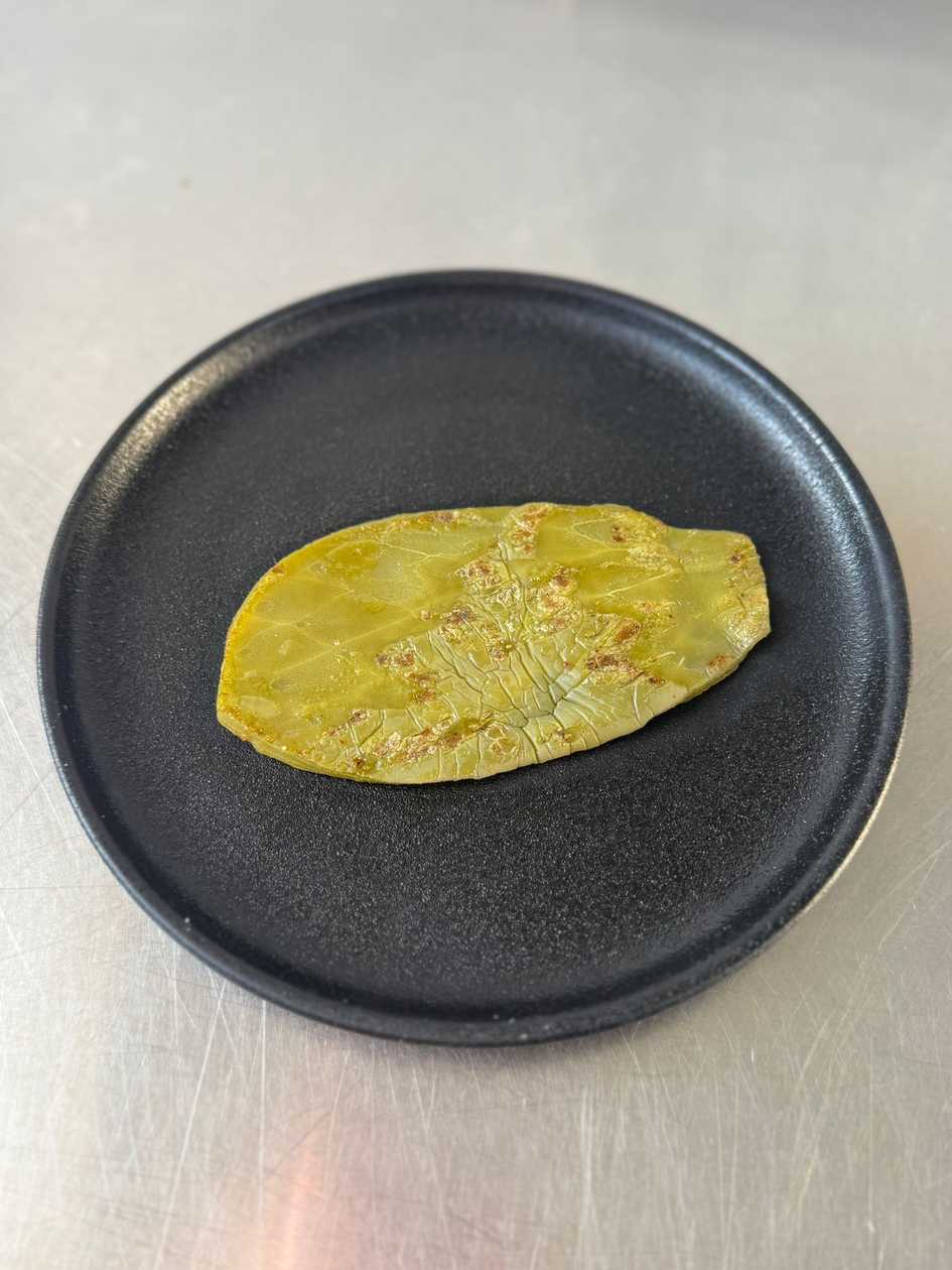 Cactus Leaf (Nopal)