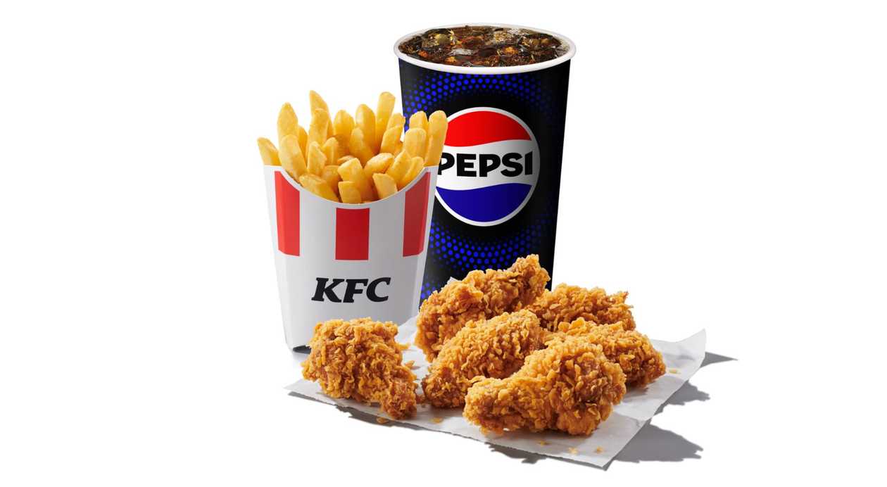 6 Hot Wings Large Meal