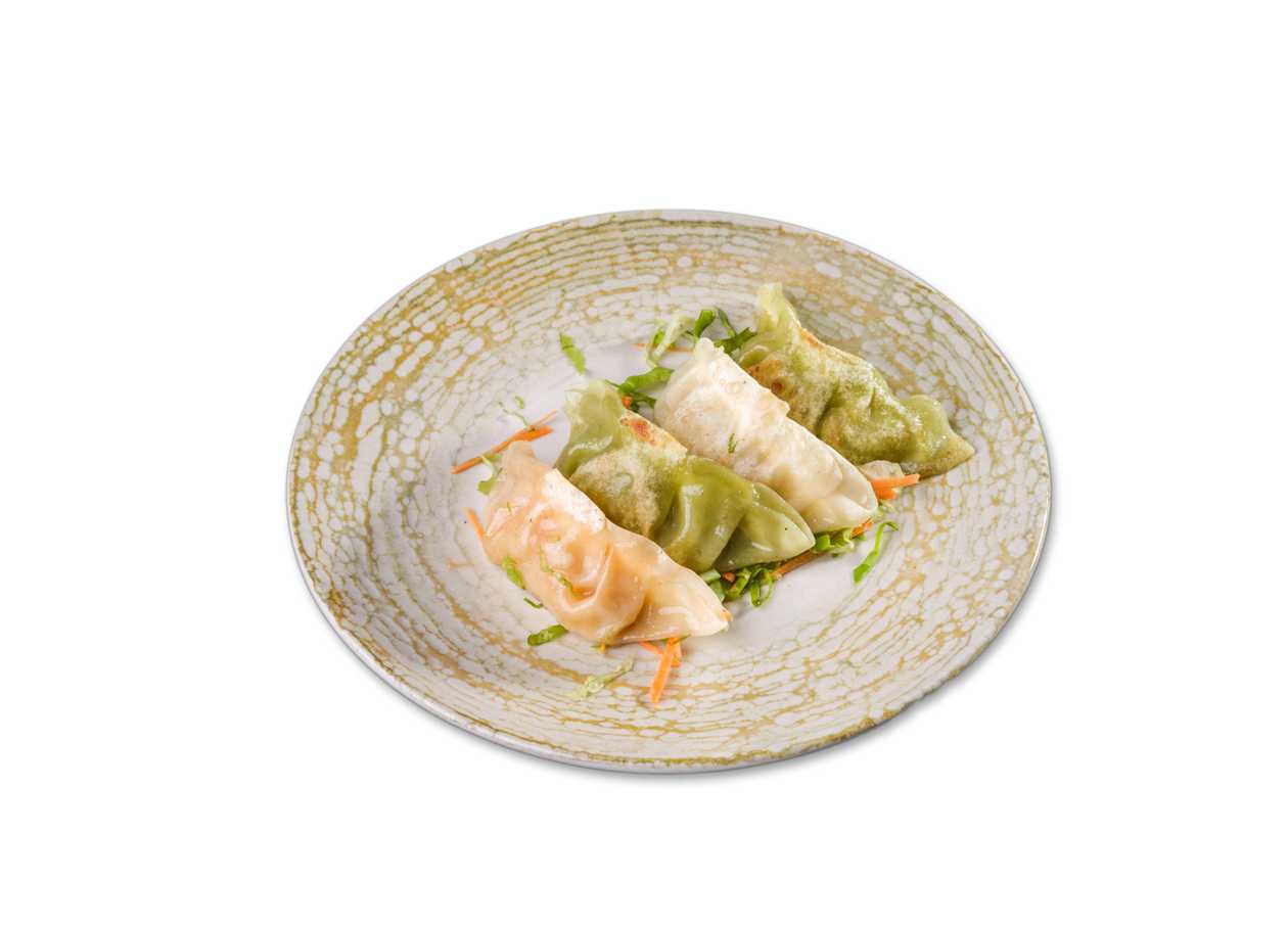 UE2 Chicken Gyoza