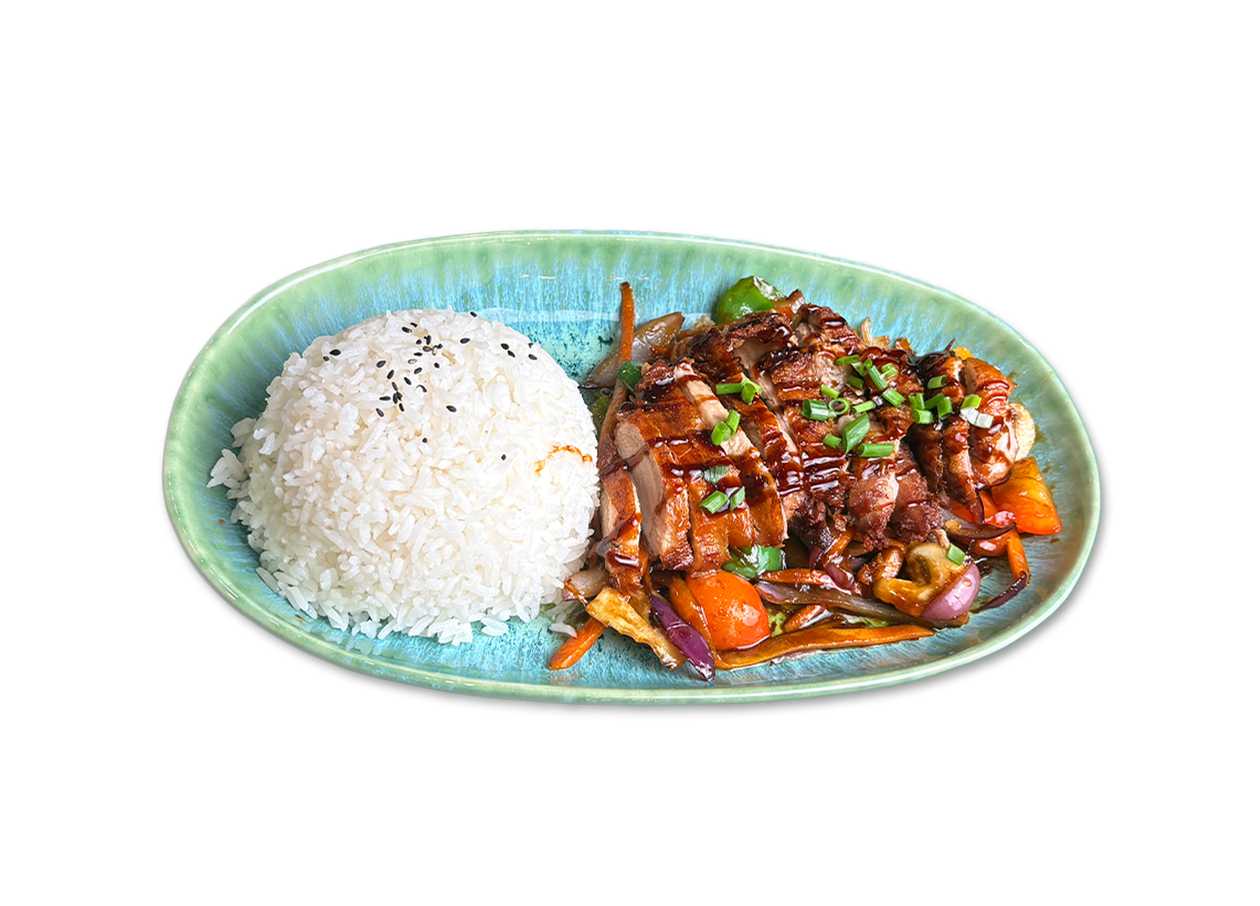 UPP1 Duck Rice