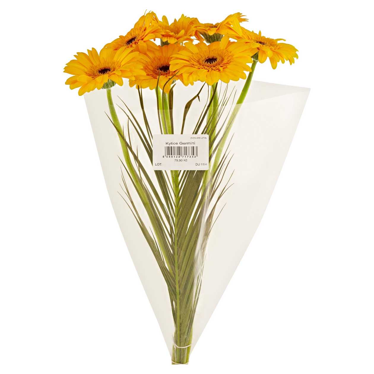 Bouquet Of Germini