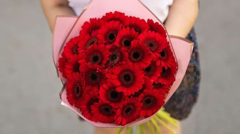 25 gerbera mix