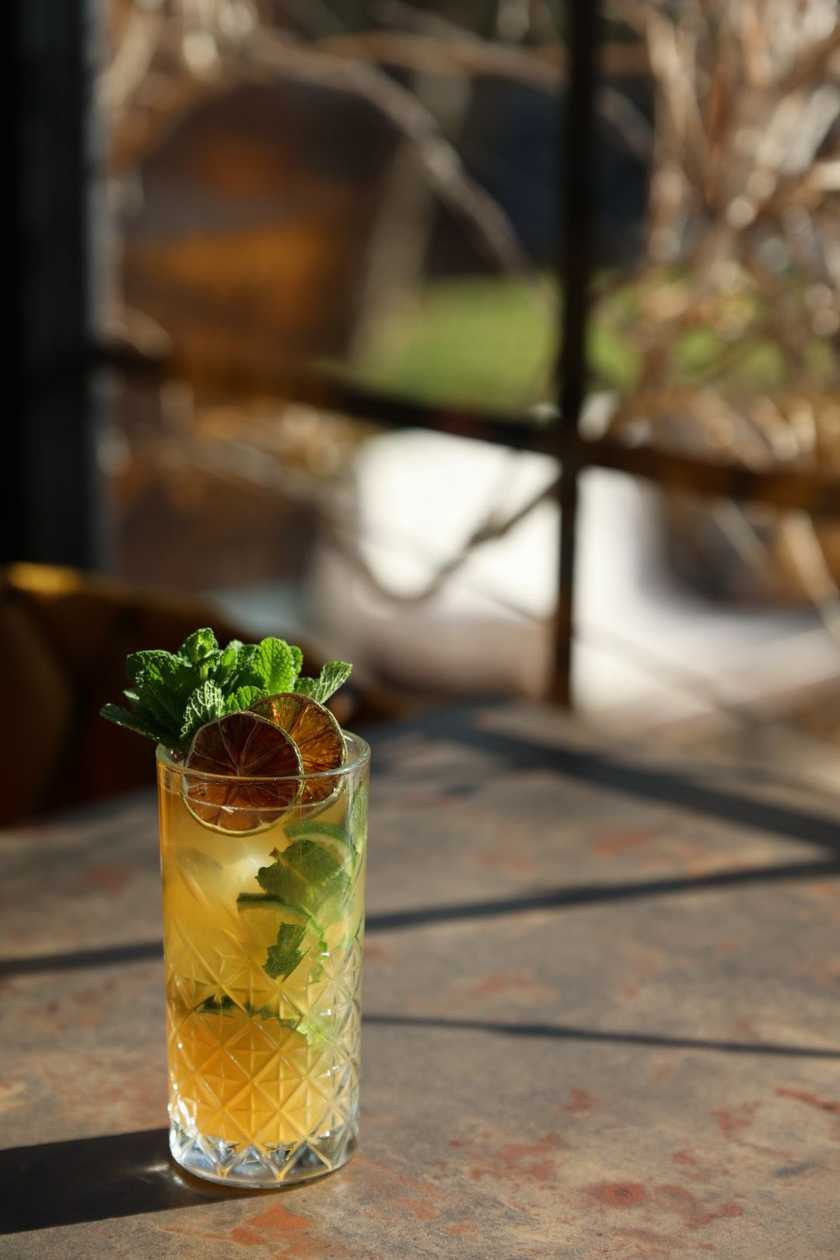 NÁŠ ĽADOVÝ ČAJ