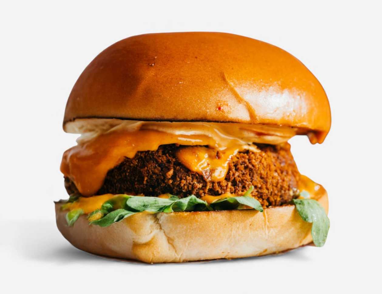 Chickpea Burger (V)