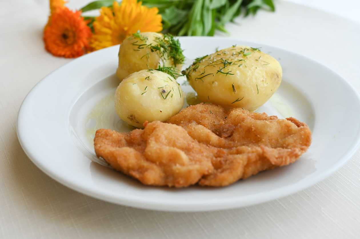 Breaded Chicken Cutlet + Potatoes + Cucumber Salad (Mizeria)