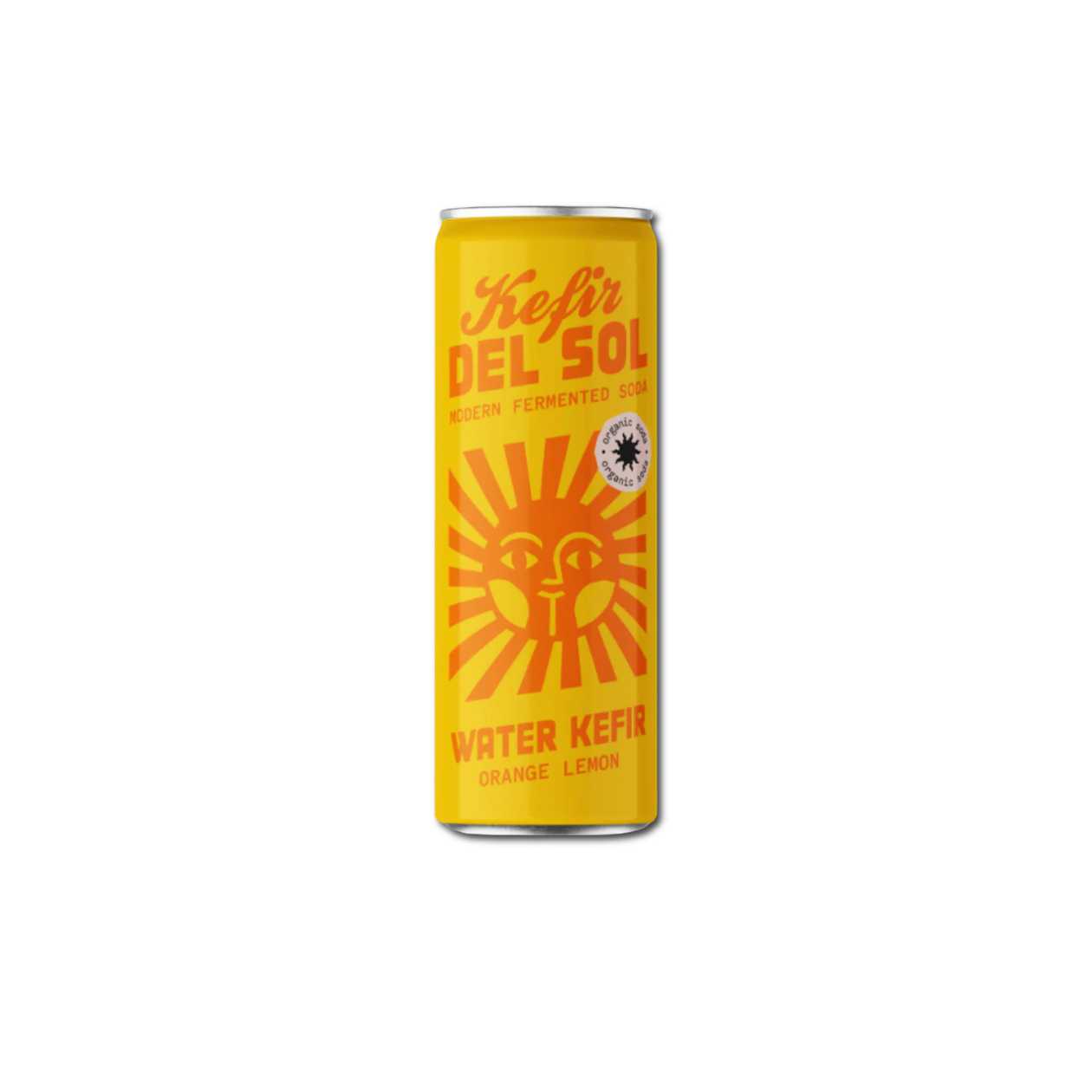 Fermented Drink with Orange and Lemon, 250ml