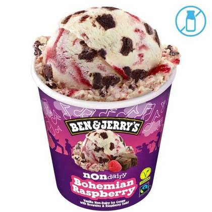 Ledai B&J Non-Dairy Bohemian Rasberry, 465 ml 1 vnt