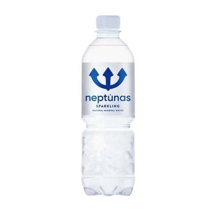Gazuotas vanduo 0,5 l