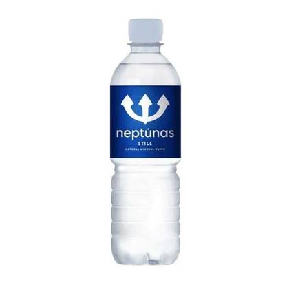 Negazuotas vanduo 0,5 l
