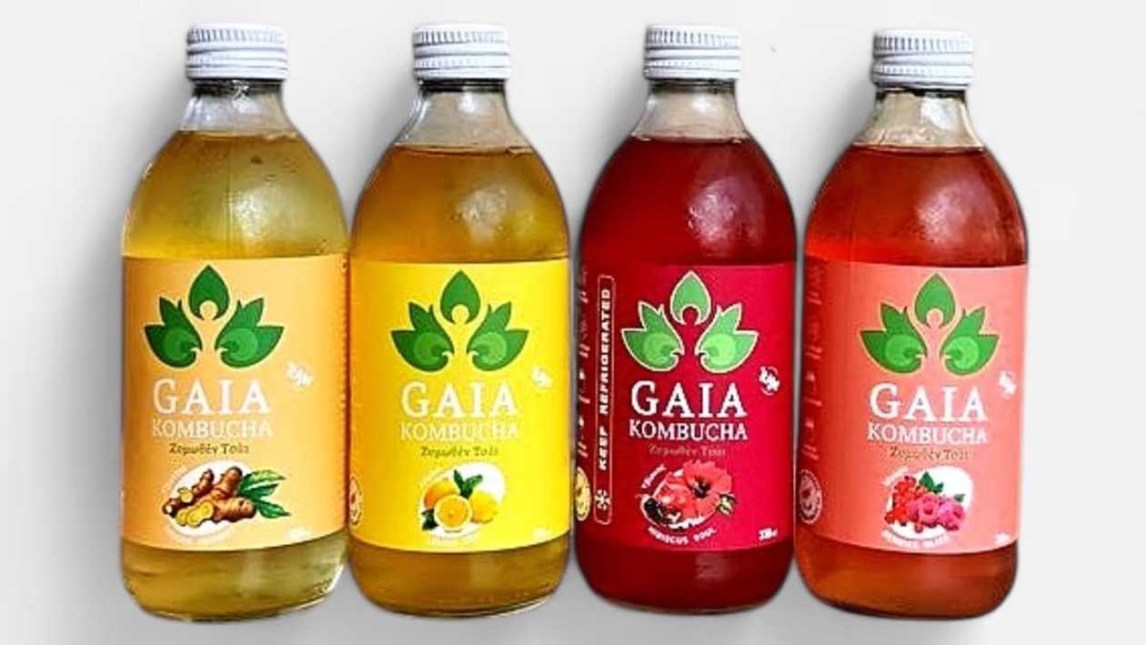 Gaia Kombucha