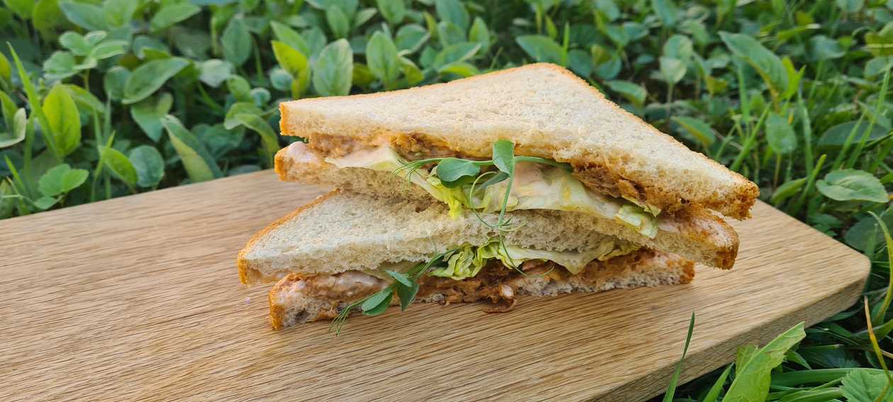 Sandwich with vegan pulled meat