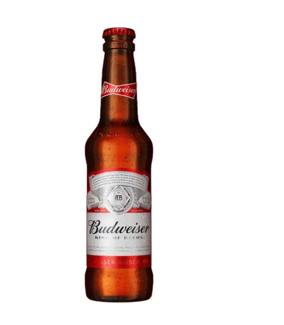 Budweiser beer