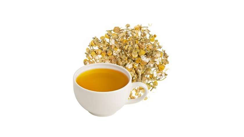 Camomile Blossoms