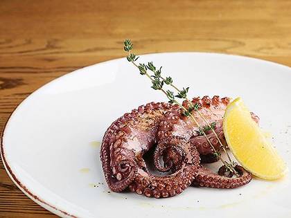 Octopus