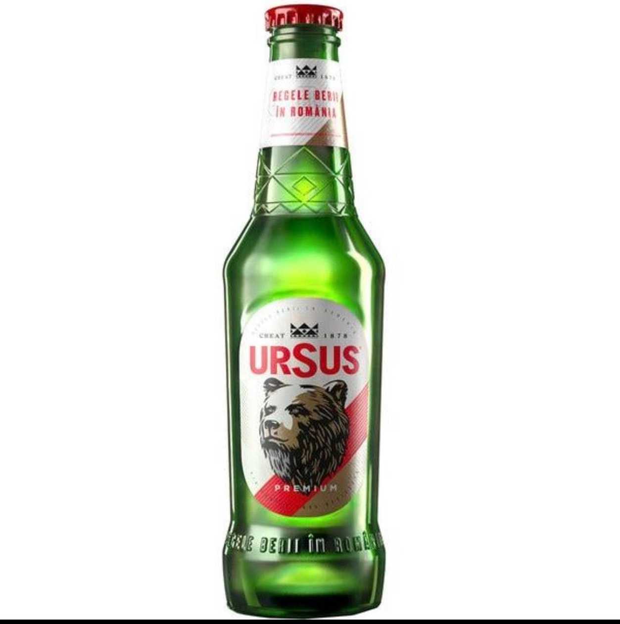 Ursus