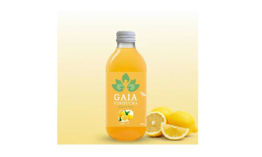 Gaia Kombucha Lemon Zen 33cl