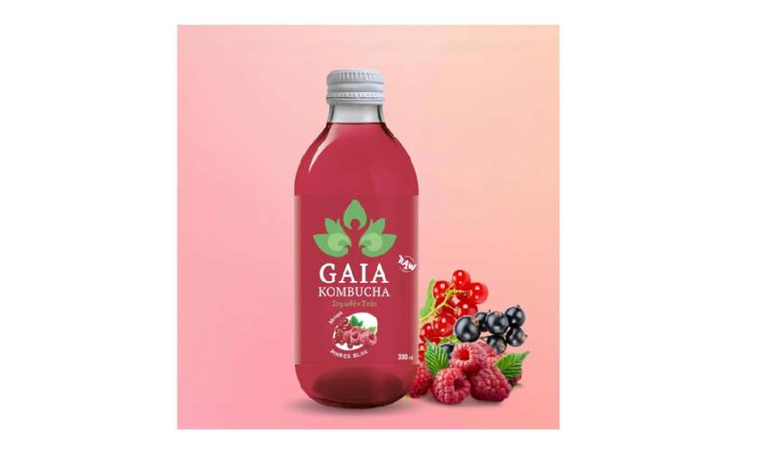 Gaia Kombucha Berries Bliss 33cl