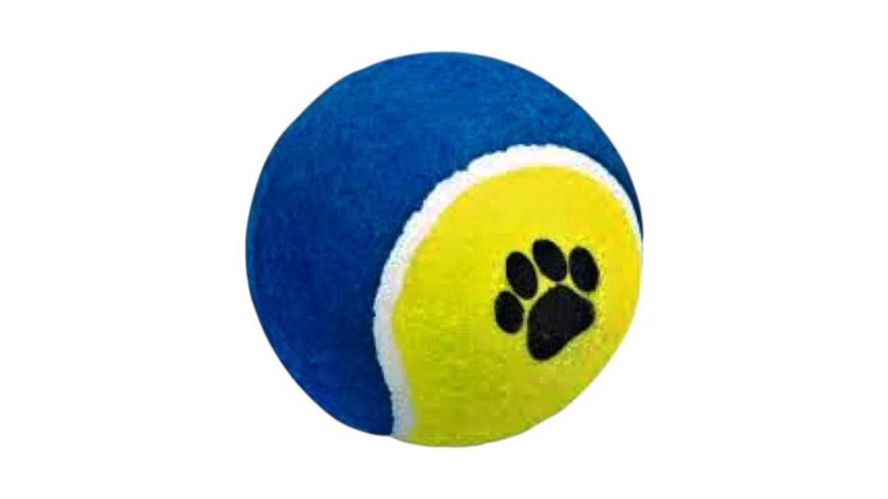 Pet Nova Tennis Ball 10cm