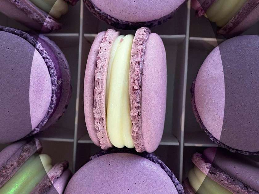 Blueberry Cheesecake Macaron