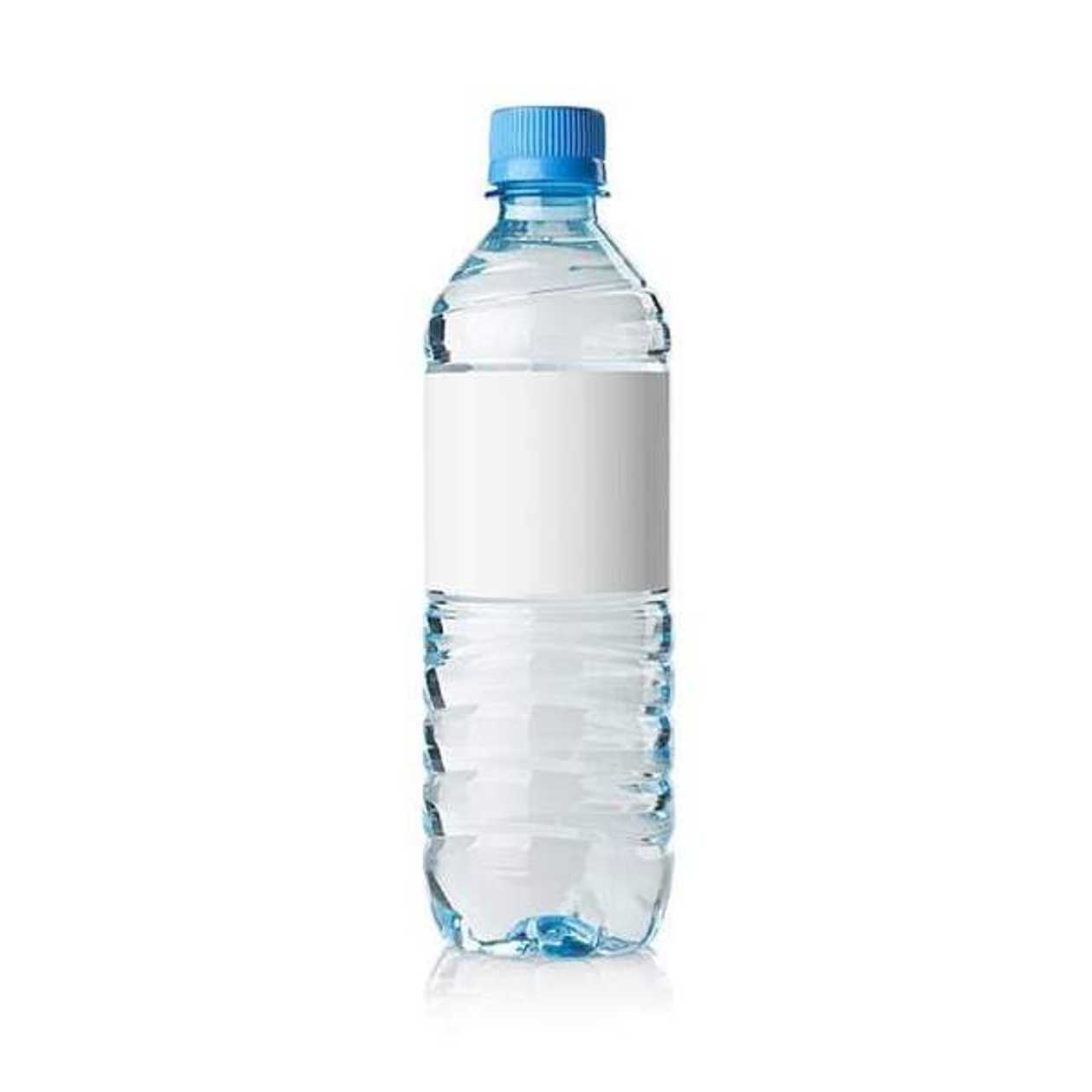 Água sem Gás (33cl)