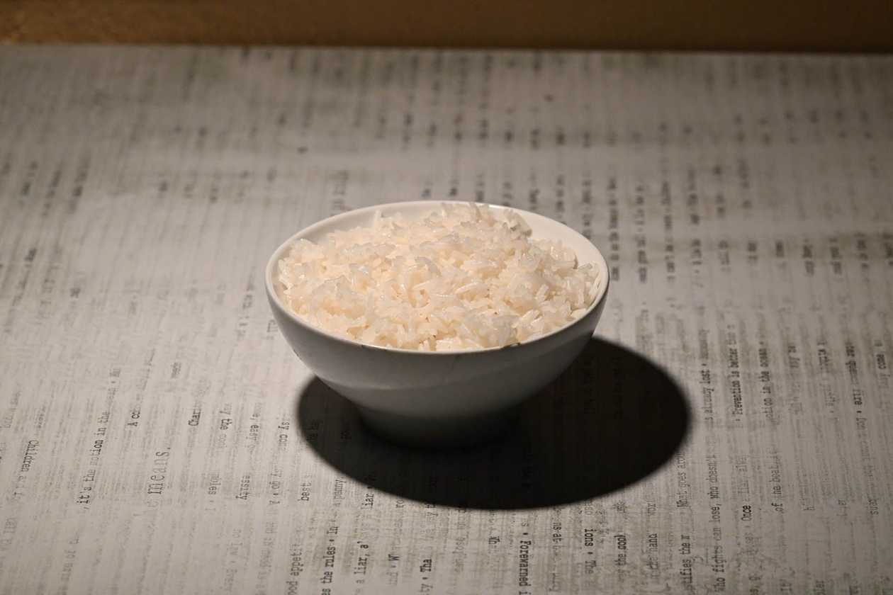 Steamed Jasmine Rice (V)