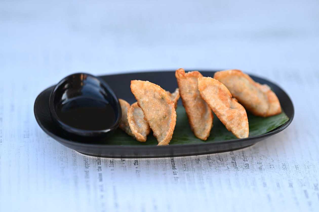 Chicken Gyoza