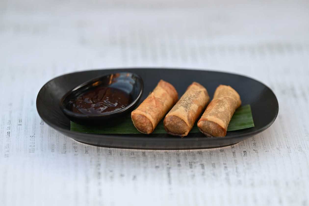 Duck Spring Rolls